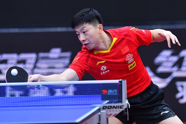 杨可能会比 杨可能会比