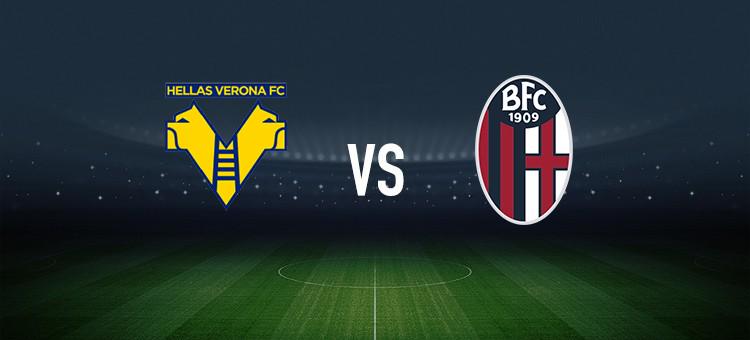 一项竞技运 一项竞技运